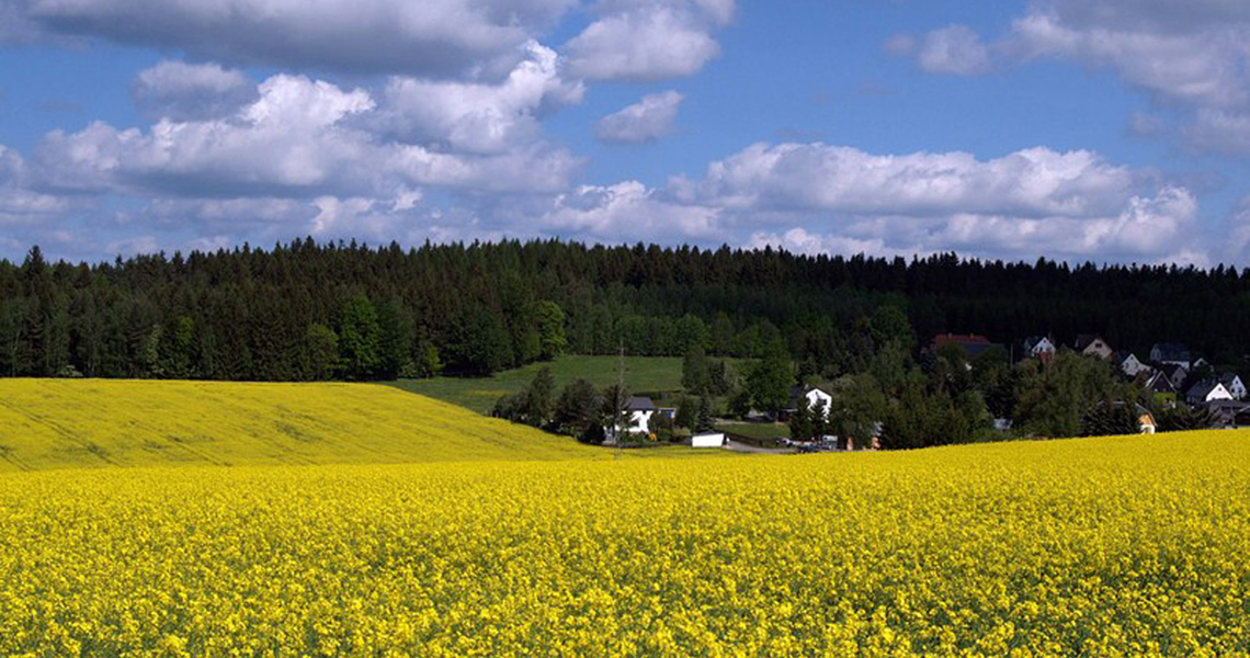 Landschaft-bei-Oelsnitz